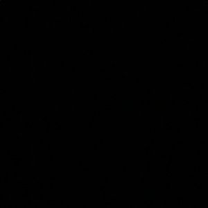 Meet your Posher, Gracie